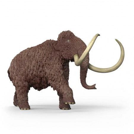 Mammut