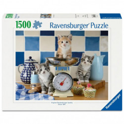 Kätzchen in der Küche       1