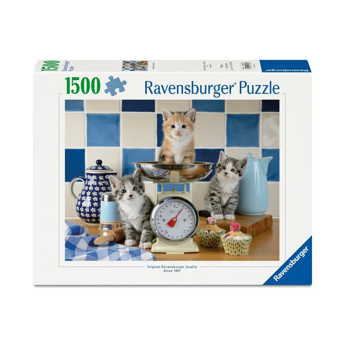 Kätzchen in der Küche       1