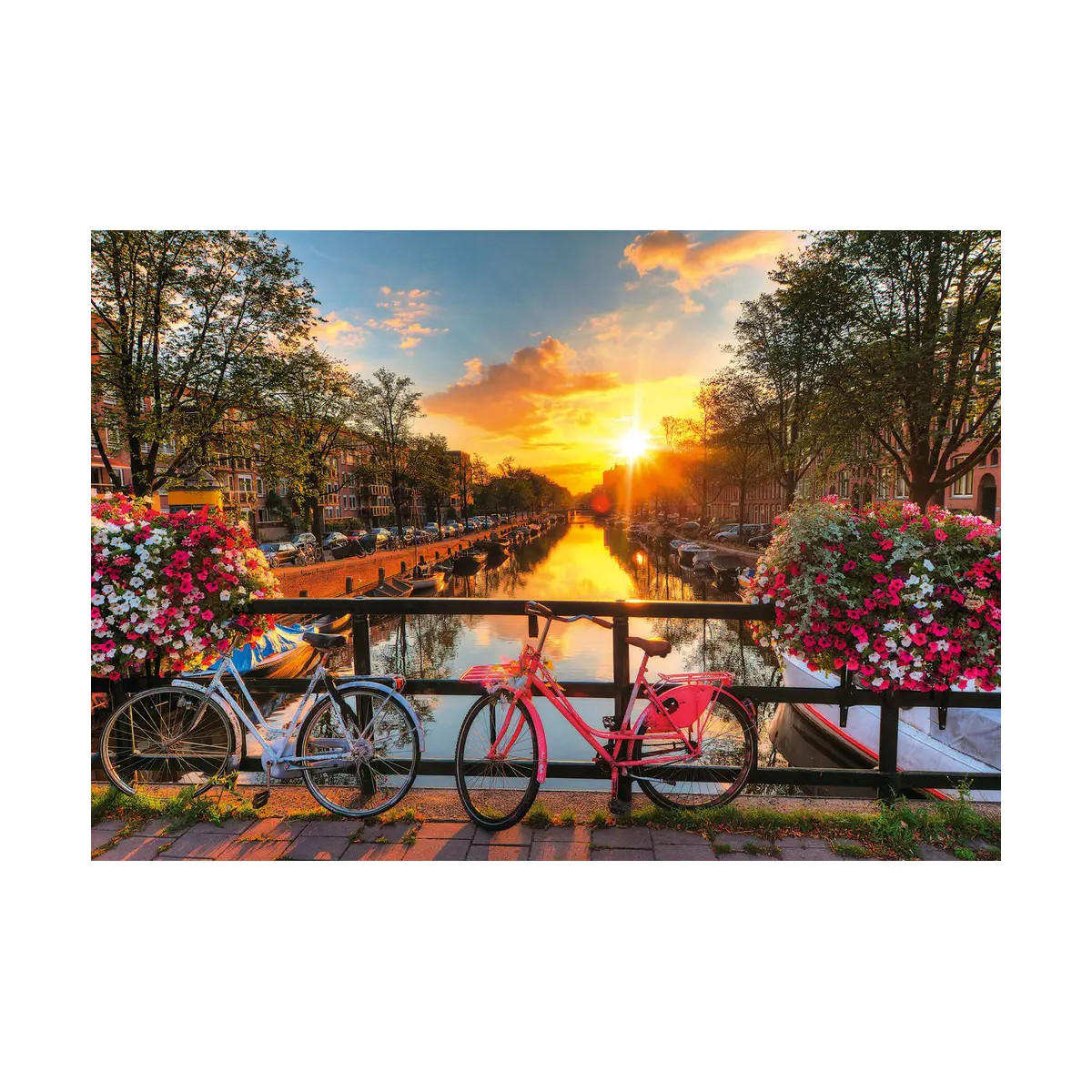 Feel Well - Sunset in Amsterd