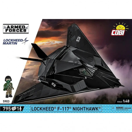 F-117 NIGHTHAWK