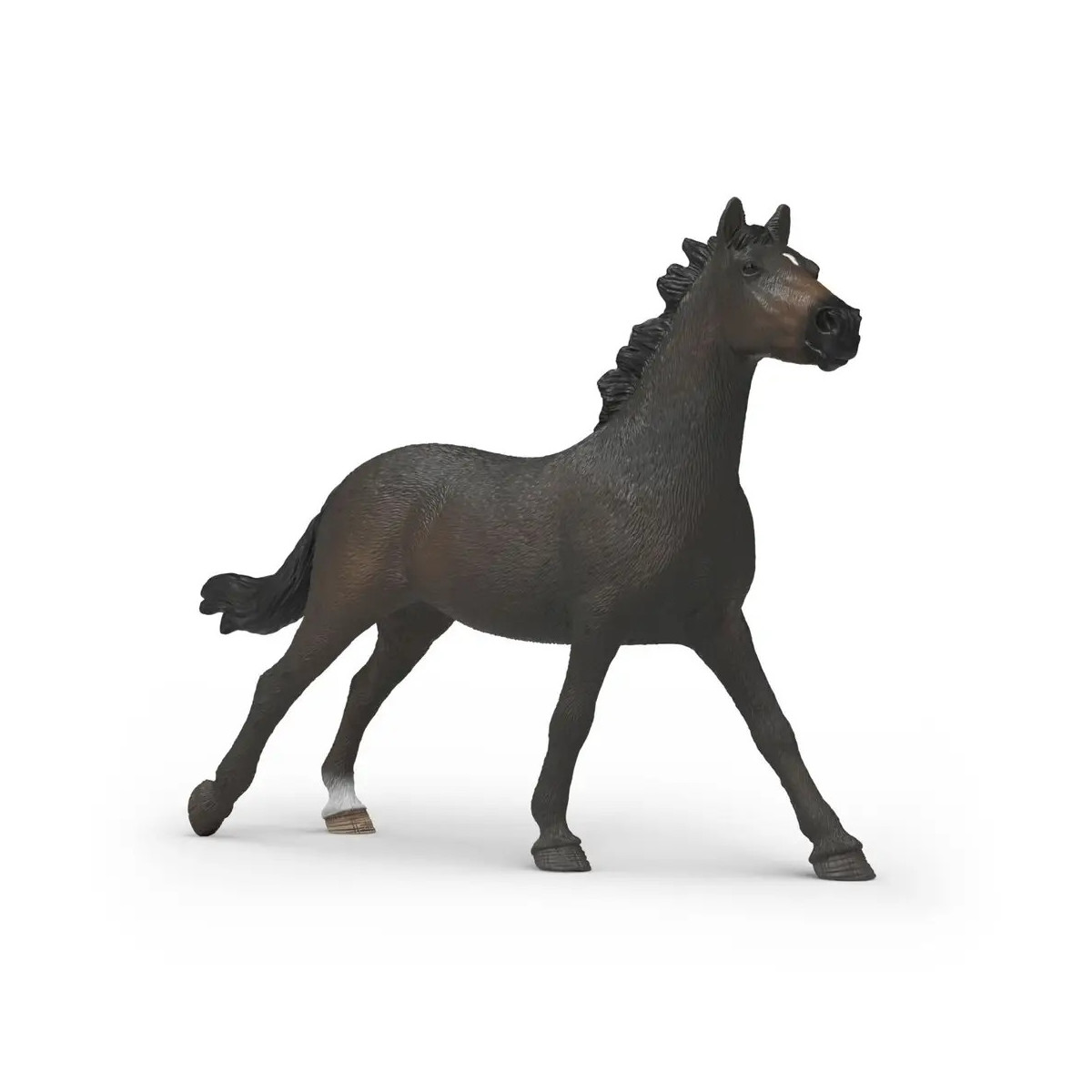 Englisches Vollblut Stute