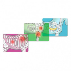 Pferdeklinik Heilende Hufe