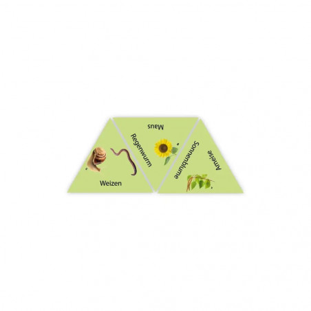 Learning Star Natur, deutsch