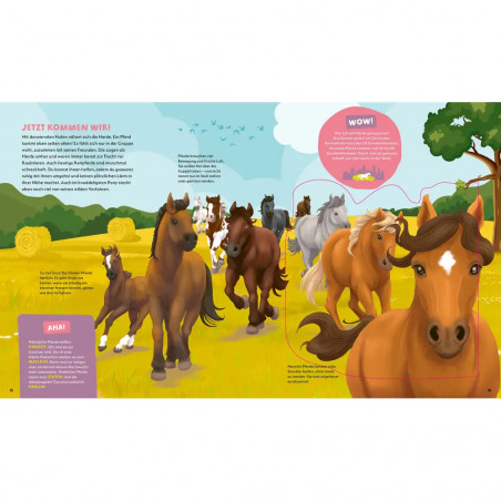 WAS IST WAS Kids Pferde und Ponys. Wild, stark und einfach t