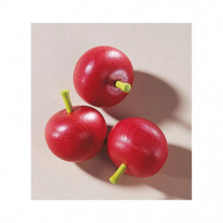 HABA - Kaufladen Tomate