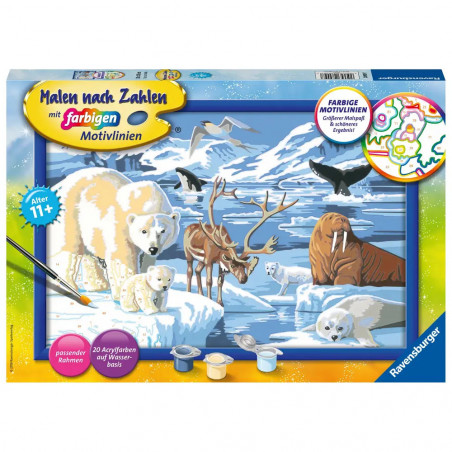 Ravensburger - Malen nach Zahlen - Tiere der Arktis