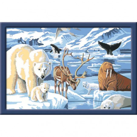 Ravensburger - Malen nach Zahlen - Tiere der Arktis