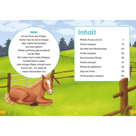 Tessloff - Was ist Was - Erstes Lesen Pferde und Ponys