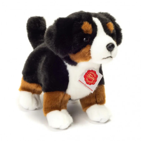 Teddy-Hermann - Berner Sennenhund Welpe stehend 23 cm