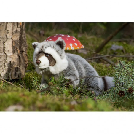 Teddy-Hermann - Waschbär, 29 cm