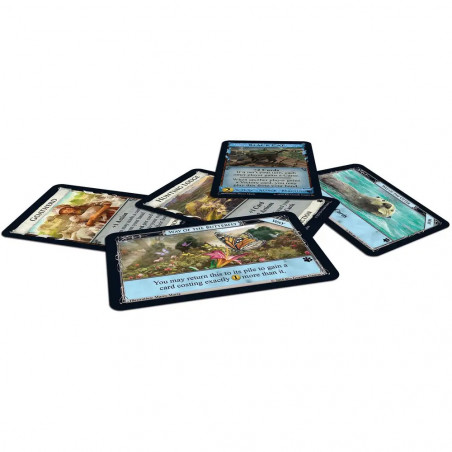 Rio Grande Games - Dominion Menagerie