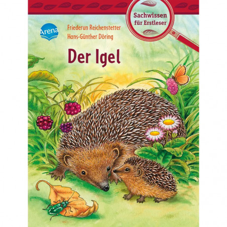 Arena Verlag - Sachwissen für Erstleser - Der Igel