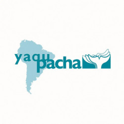 Teddy-Hermann - Pinguin, 30 cm