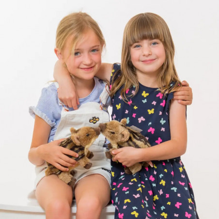 Teddy-Hermann - Wildschweinfrischling, 22 cm