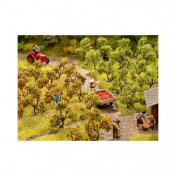 Noch - Plantagenbäume mit Äpfeln