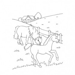 Tessloff - Malen, Rätseln & mehr - Mein dickes Malbuch - Pferde