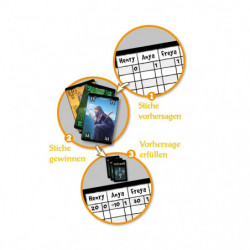 Amigo Spiele - Wizard