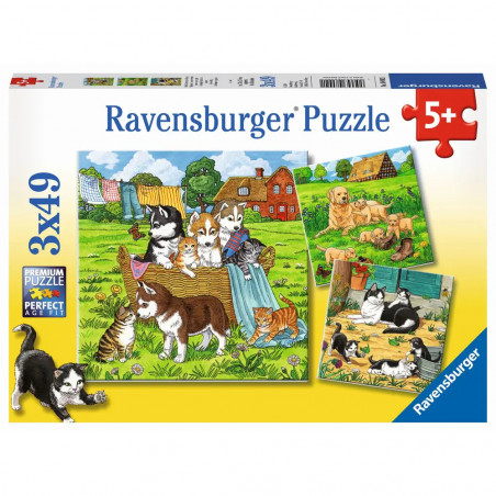 Ravensburger - Süße Katzen und Hunde, 3 x 49 Teile