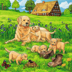 Ravensburger - Süße Katzen und Hunde, 3 x 49 Teile