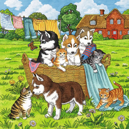 Ravensburger - Süße Katzen und Hunde, 3 x 49 Teile