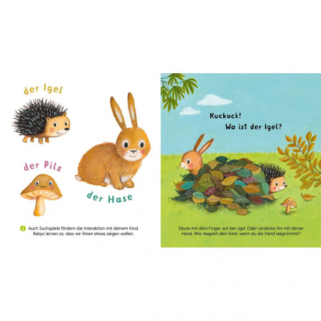 Baby Pixi (unkaputtbar) 179: Mein Baby-Pixi-Buggybuch: Allererste Wörter: Meine Tiere