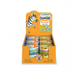 CLASS-6 Magic Towel Mal-Lappen 30 x 30cm, 2-fach sortiert Ein Zauber-Handtuch mit dem WOW-Effekt! Einfach das Handtuch