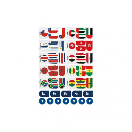 2,4GHZ CARRERA RC SOCCER SET - WORLD CHAMPIONSHIP
