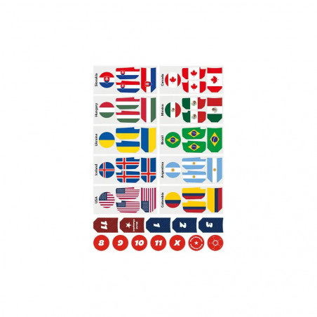 2,4GHZ CARRERA RC SOCCER SET - WORLD CHAMPIONSHIP
