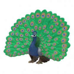 Pfau