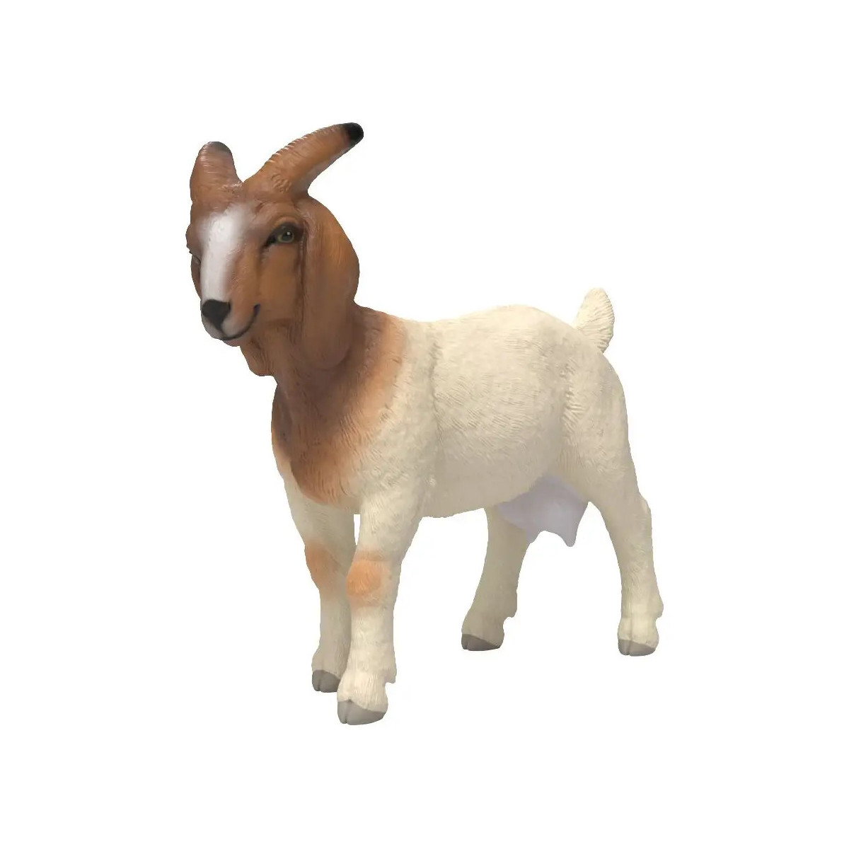 Burenziege