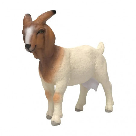 Burenziege