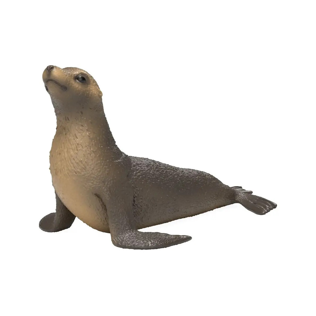 Seelöwe