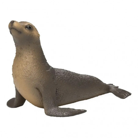 Seelöwe