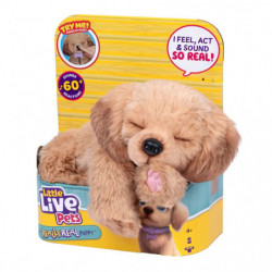 Moose Toys LITTLE LIVE PETS MY REALLY REAL S3 PUPPY