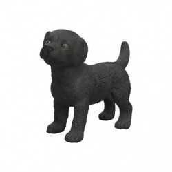 Schwarzer Labrador Retriever Welpe