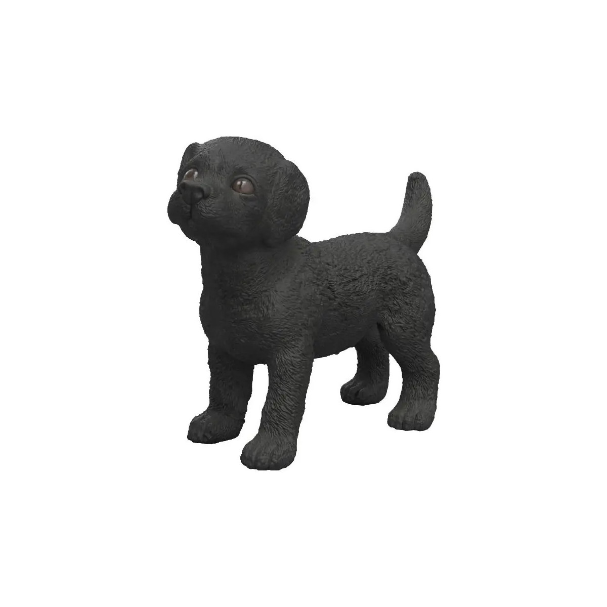 Schwarzer Labrador Retriever Welpe