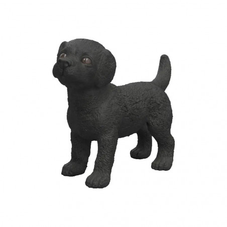 Schwarzer Labrador Retriever Welpe