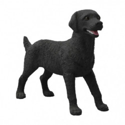 Schwarze Labrador Retriever Hündin
