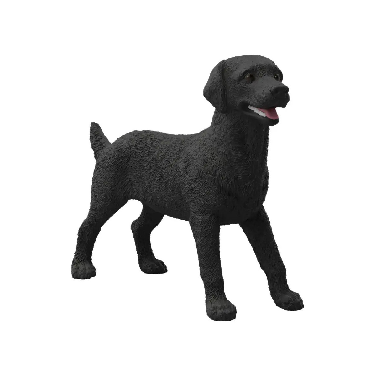 Schwarze Labrador Retriever Hündin