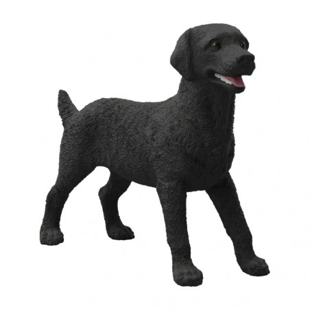 Schwarze Labrador Retriever Hündin