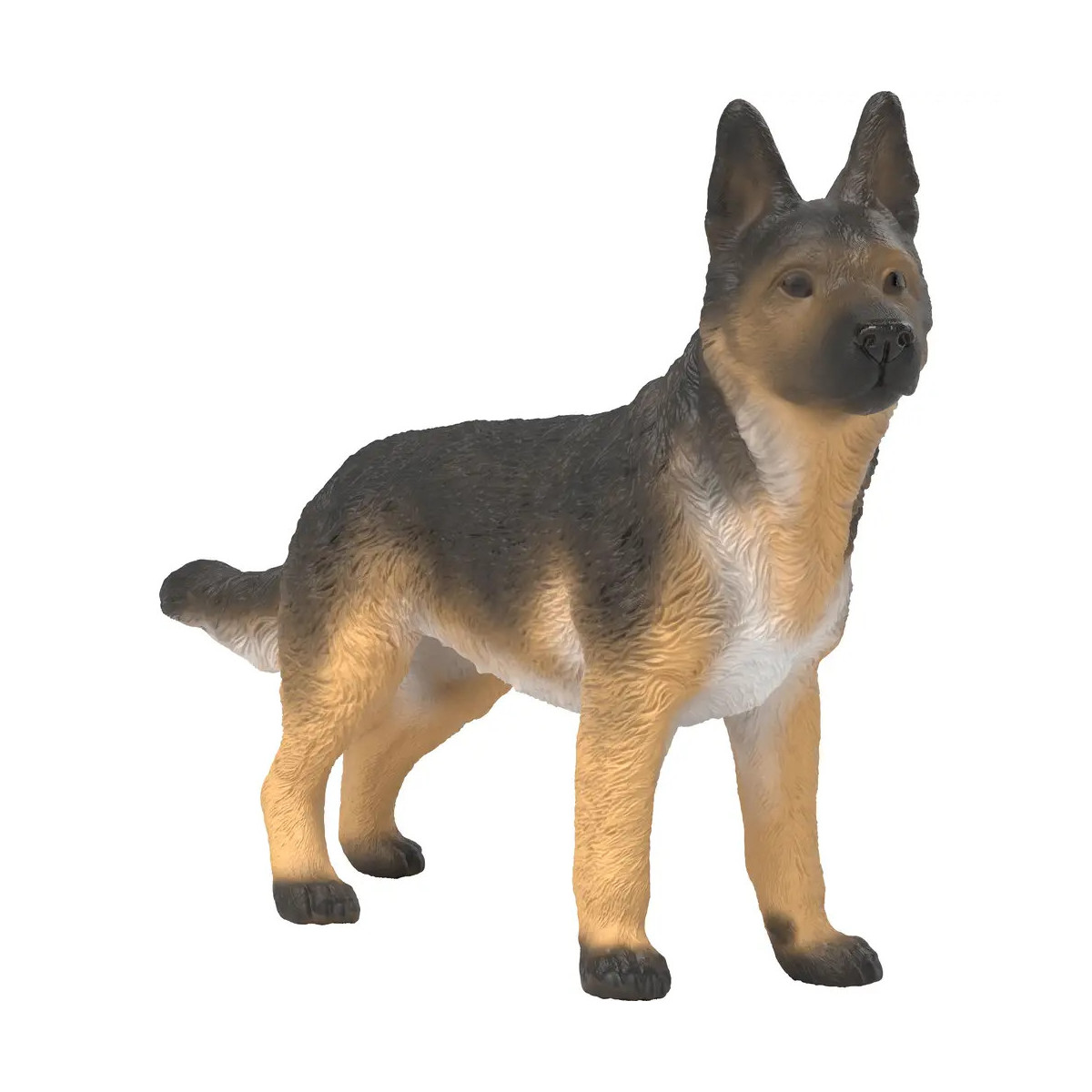 Deutscher Schäferhund Hündin