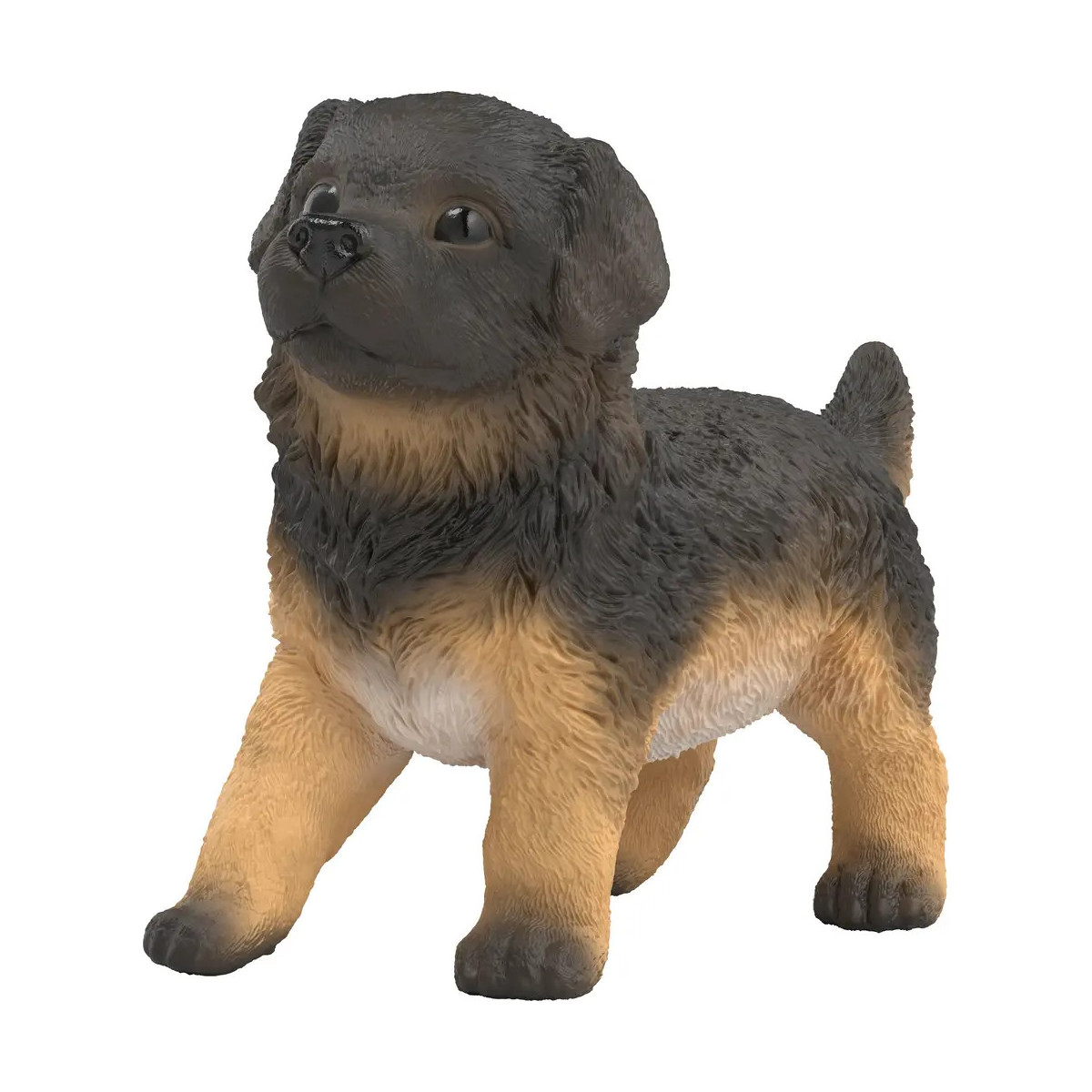 Deutscher Schäferhund Welpe