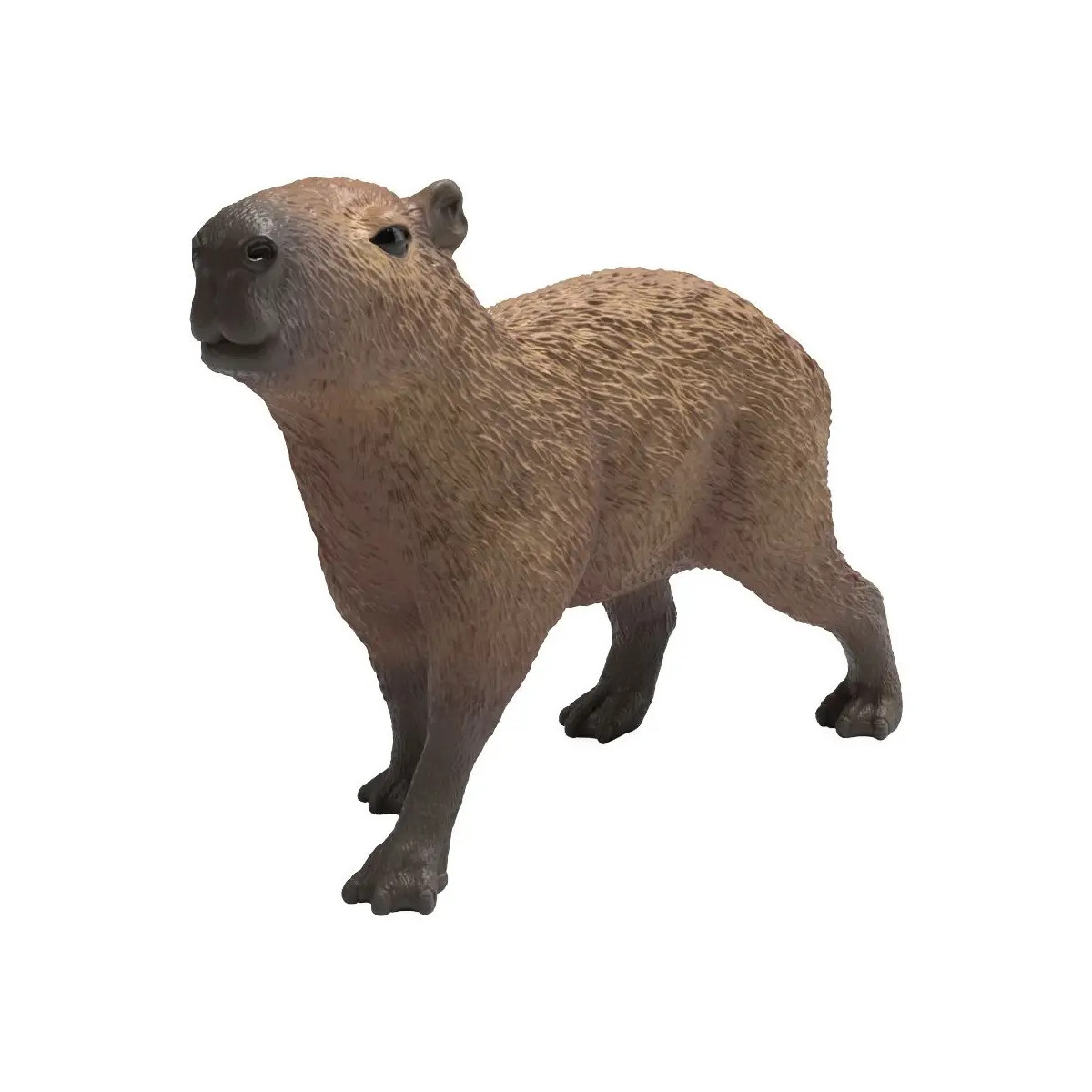Capybara