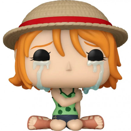 POP Animation: OP(Refresh)- Nami