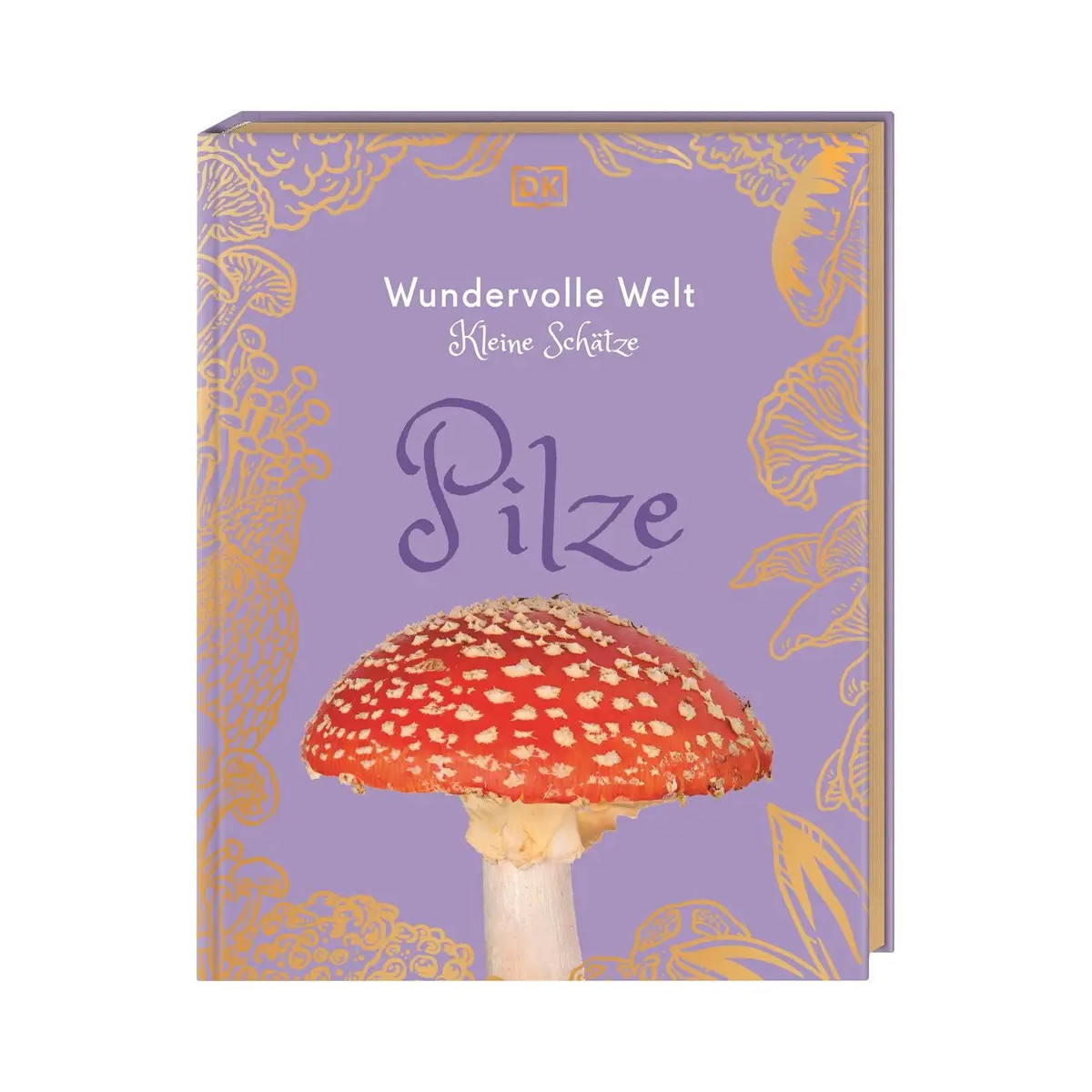 Wundervolle Welt – Kleine Schätze. Pilze