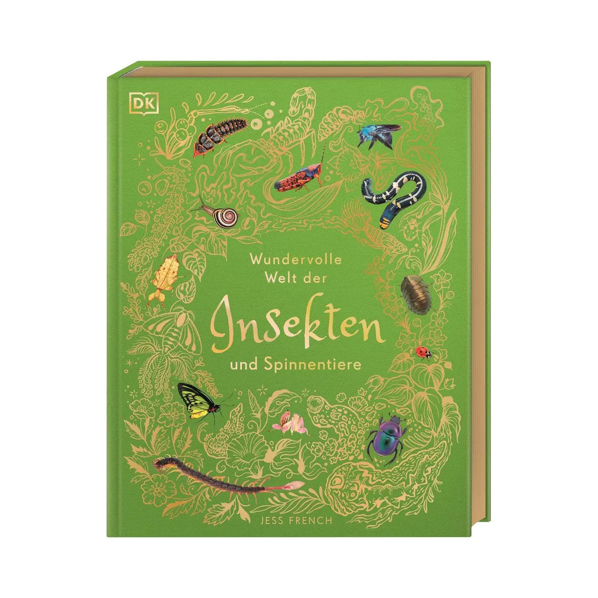 Wundervolle Welt der Insekten und Spinnentiere