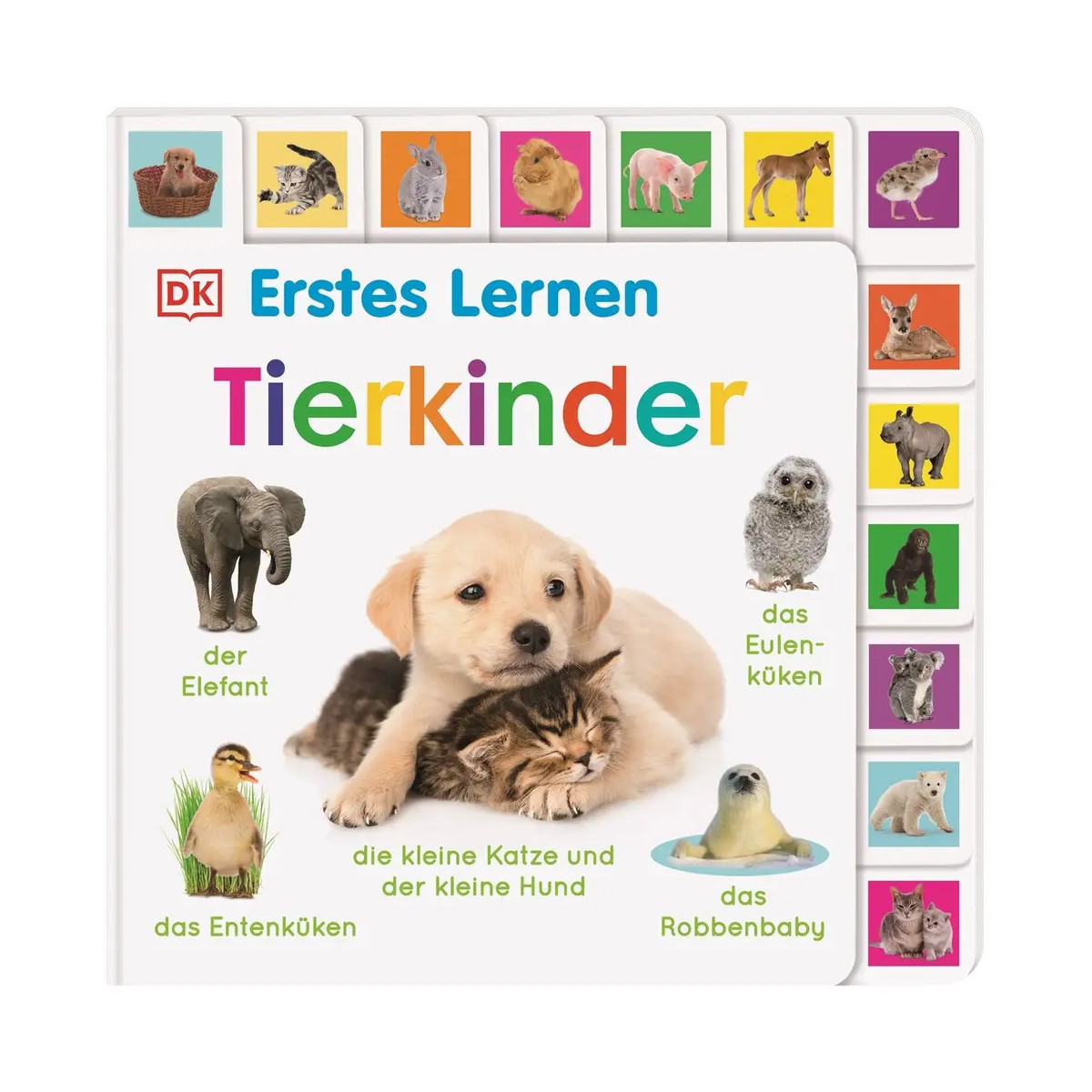 Erstes Lernen. Tierkinder