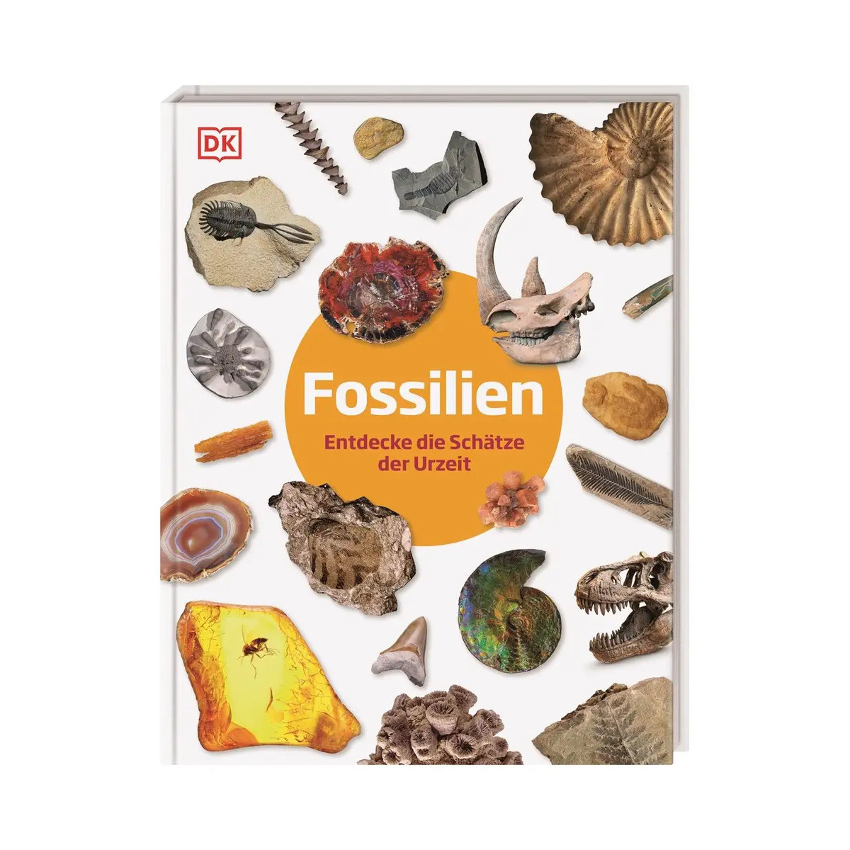 Fossilien