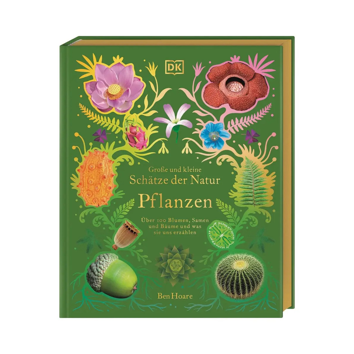 Große und kleine Schätze der Natur. Pflanzen